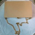 Acrylic bag with chain